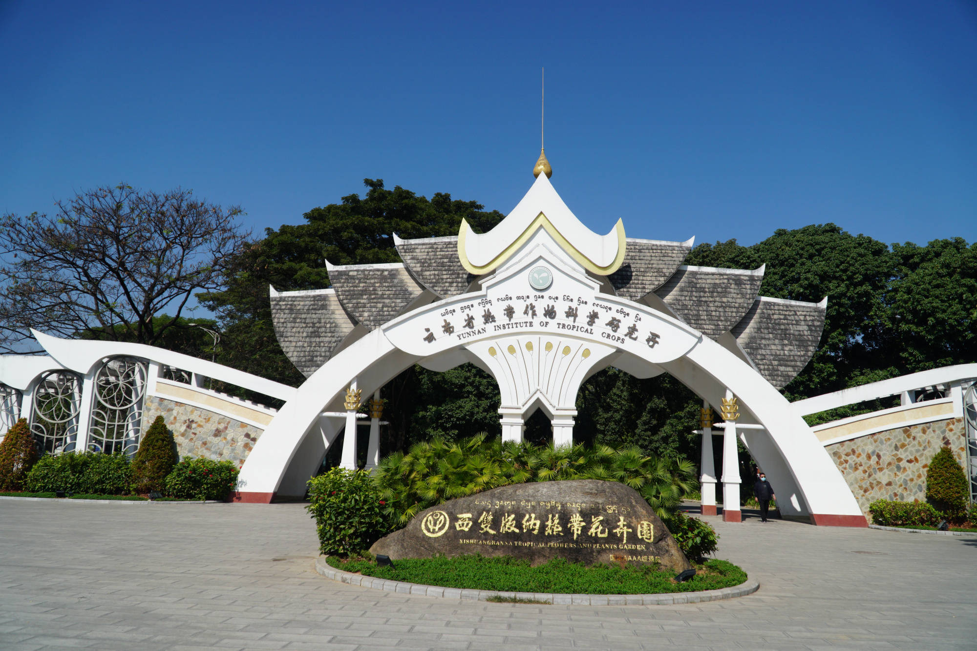 绥滨热带植物园门票图片