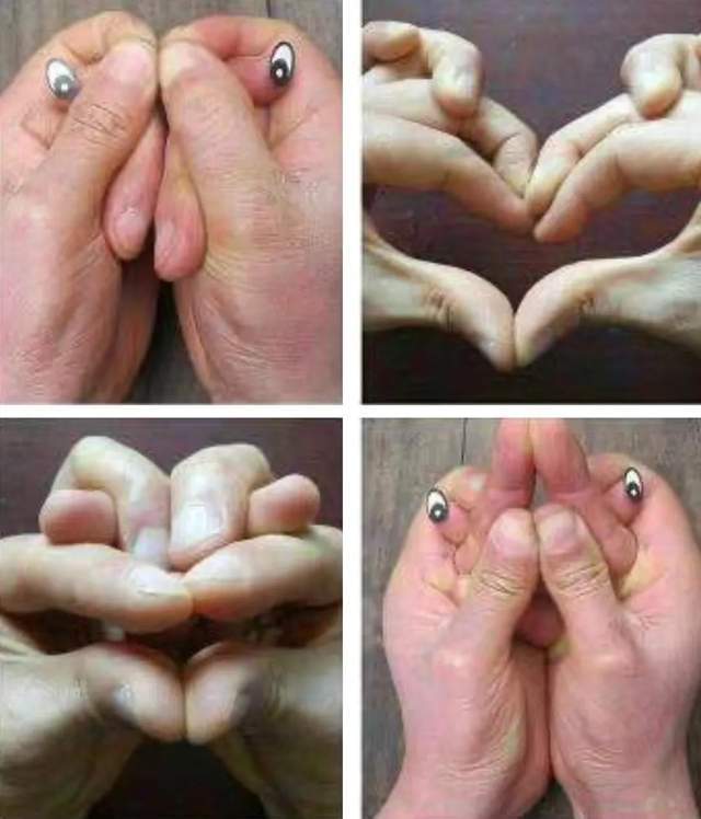 杨旭说:"手指造型就是双手十指通过不同的造型逆行出自然界的动物(如