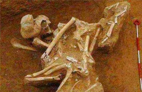 陕西出土秦始皇女儿嬴阴嫚墓,发掘现场让人揪心,专家:胡亥真狠