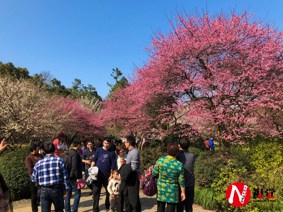 杭州植物园紧靠西湖，满园幽香别有滋味，闹中取静