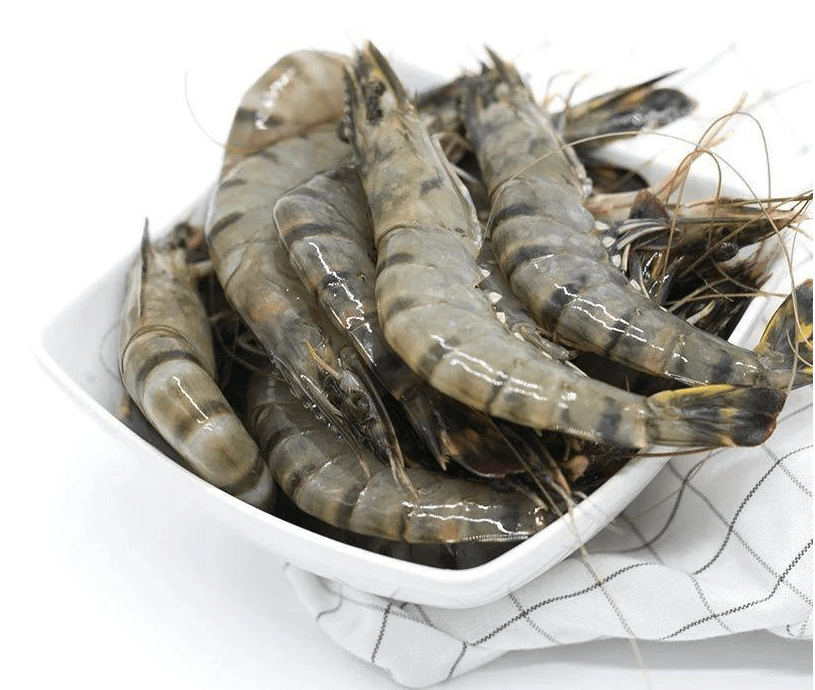 黑虎虾进口报关清关需要准备的资料和注意事项 有黑虎虾进口清关经验代理公司 中国
