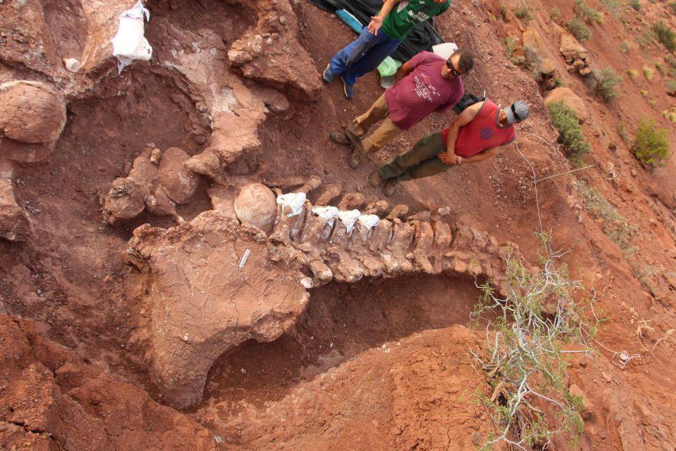 这次的化石出土于阿根廷巴塔哥尼亚西北部的内乌肯省,最早在2012年的