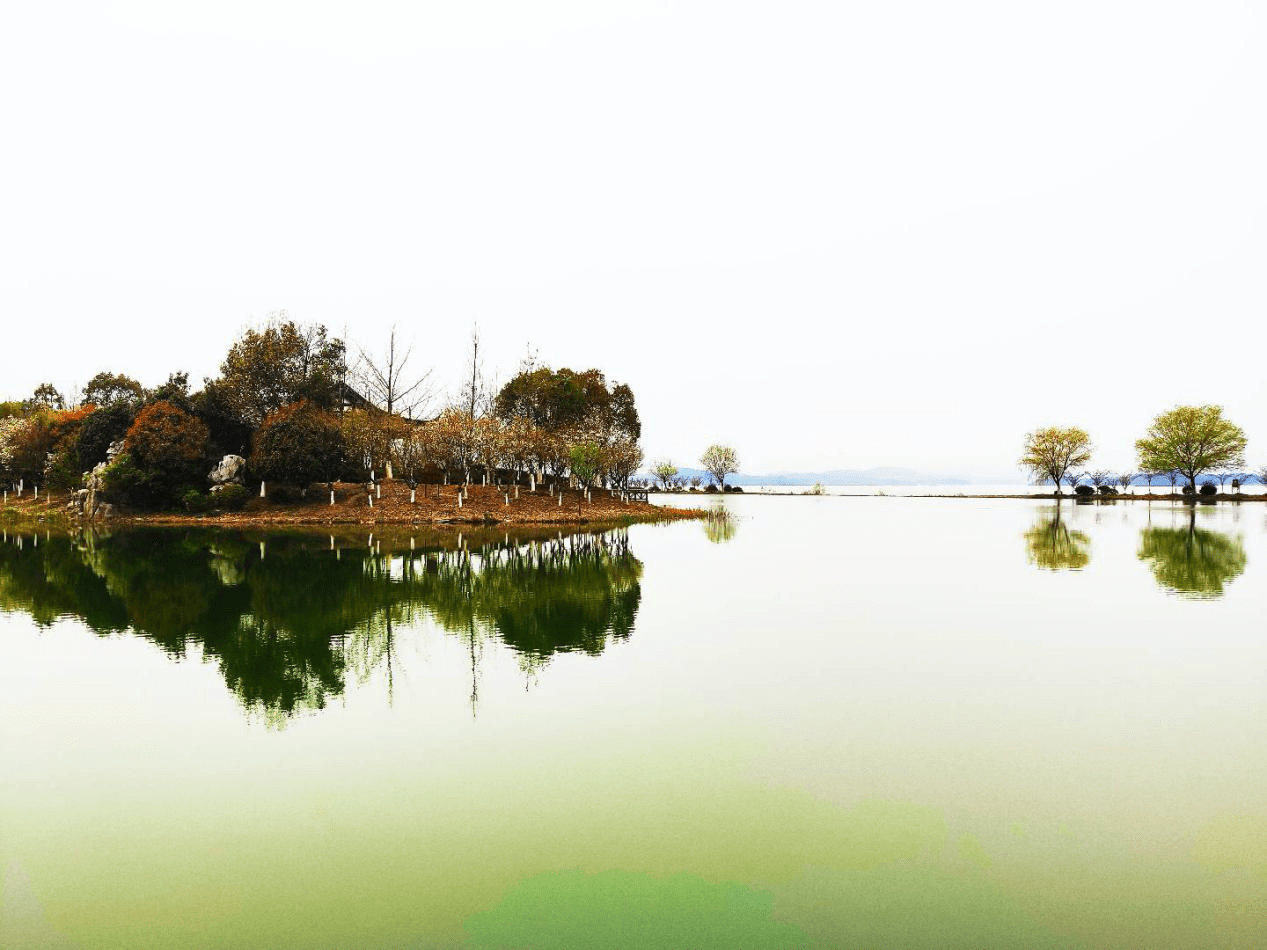 大驾旅行小朱自驾——宜兴龙池山大觉寺放飞一日游