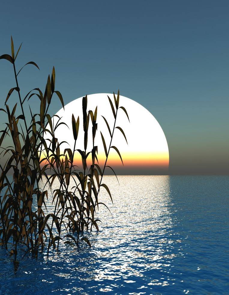 愿我们都能在细水长流的生活中,守得内心一份宁静,从容地笑看人生.