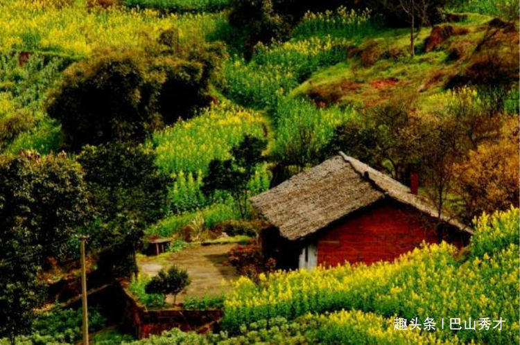 自贡尖山风景区不仅桃花美丽，曾经还有一种漂亮的小鸟