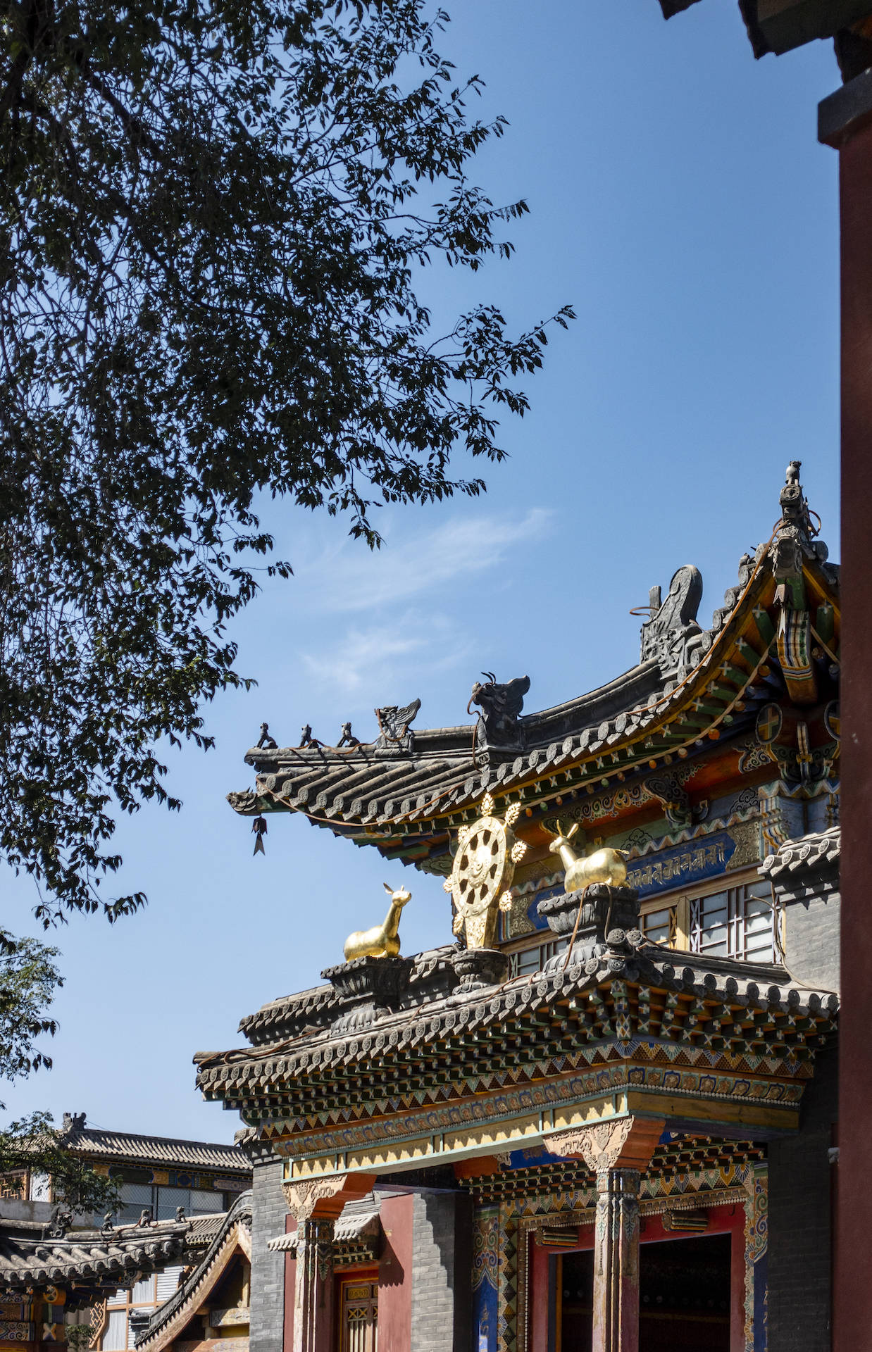 不只北京，呼和浩特也有座五塔寺，建于清代，塔里还有个神秘宝贝