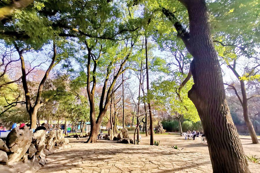 中山名树园公园图片