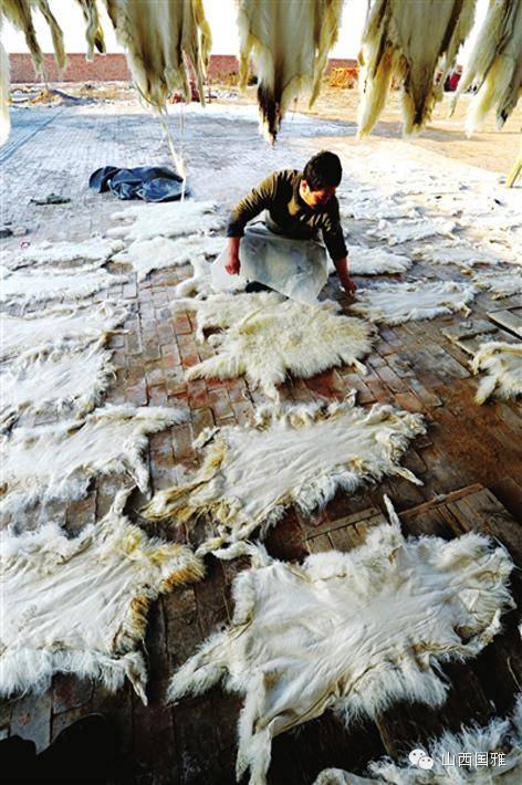 发现非遗之美滩羊皮