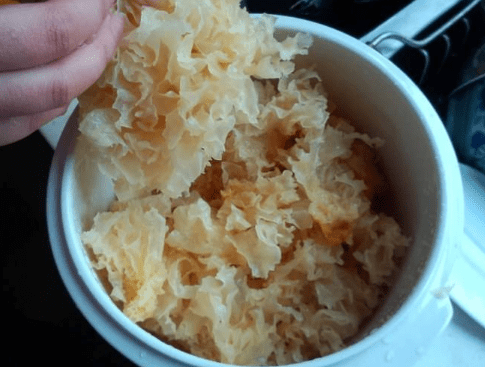 银耳怎么泡才会更白 3bd09574798a4f75ba0d476540b3e97f.png