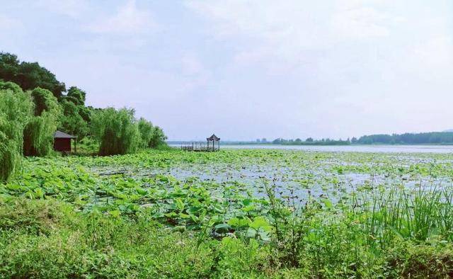 武汉最冷清的4A景区，景美人少免门票，更是清凉避暑胜地