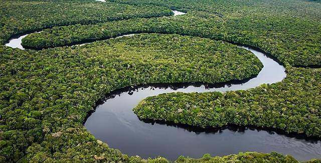 亚马逊河到底有多怕？为什么人们不敢在亚马逊河中游泳？