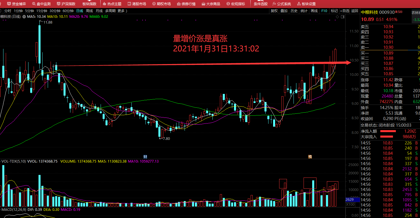 gdp不属于高能化合物吗_高能手办团图片