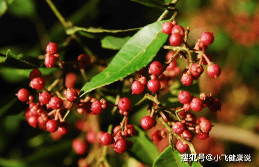 花椒能祛湿驱寒吗 c931d45311e847019ce95129d663bf47.png