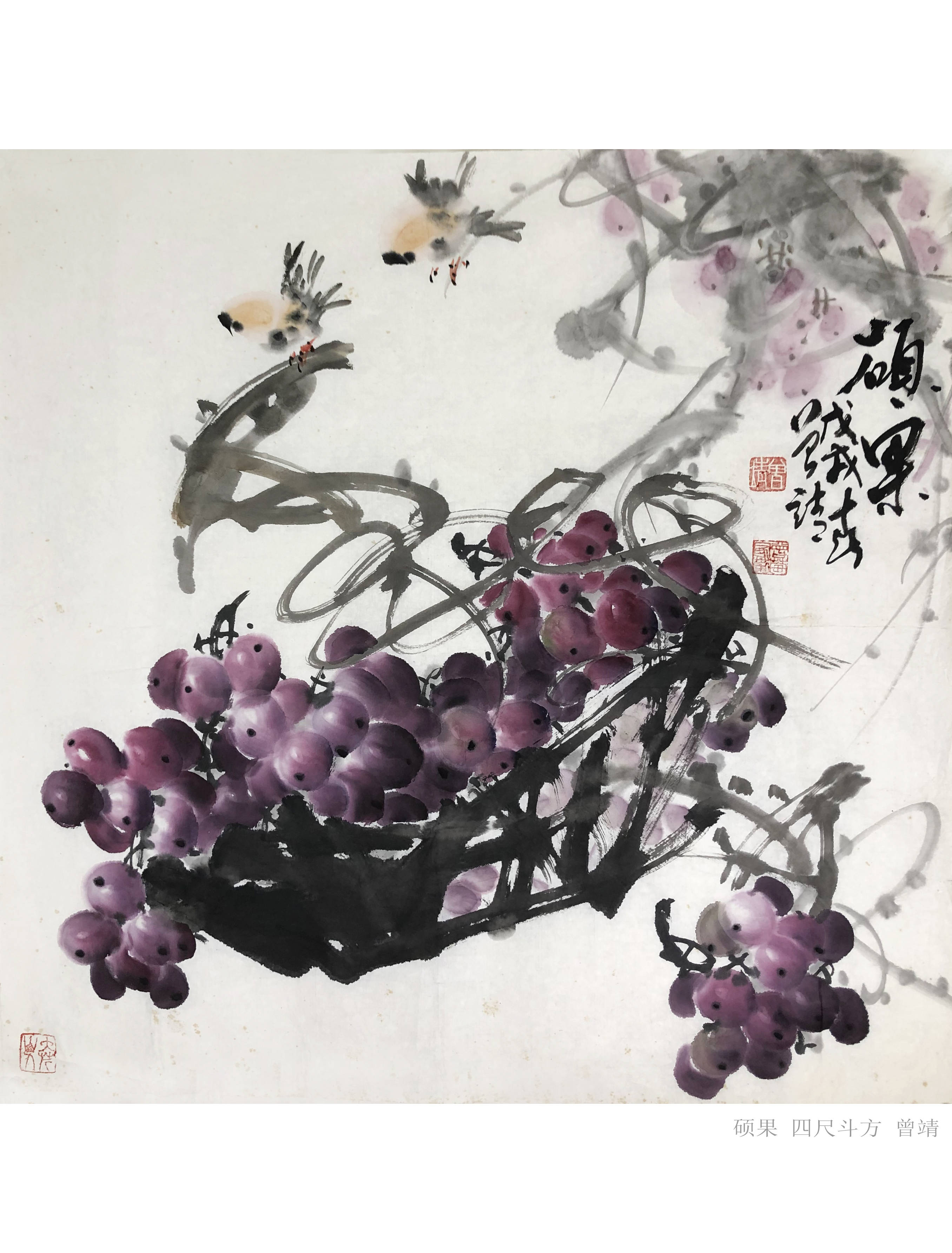 画家曾靖与他的中国画葡萄配小鸟麻雀，松鼠-搜狐大视野-搜狐新闻
