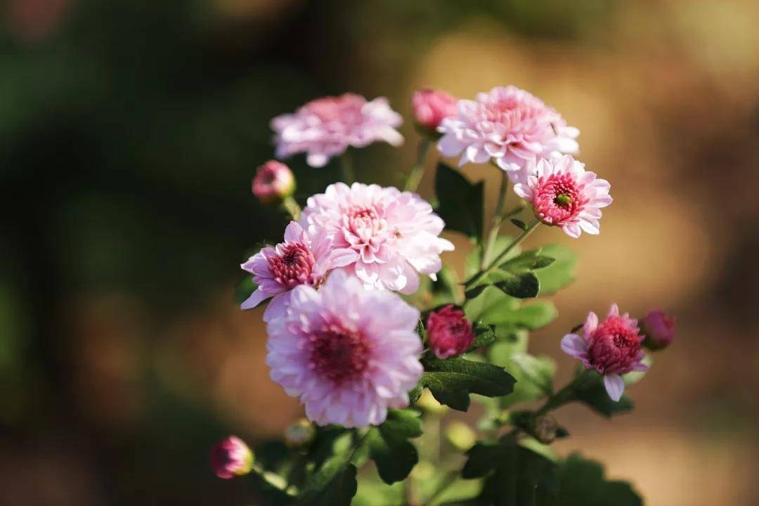 2021gdp大涨_中国gdp增长图2021