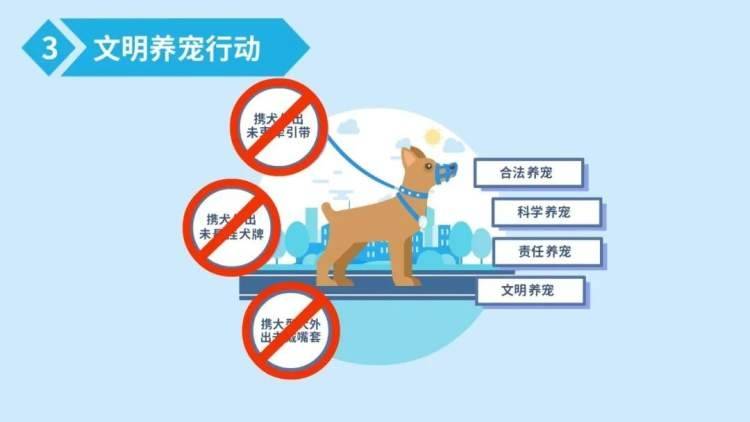 什么是策略性行动 51d428597ff94be1b363953c10c3304f.jpeg