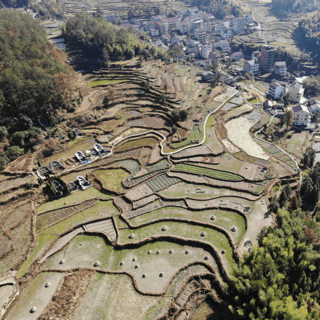 稻田里养鱼有多好？来青田方山，带你一次看个够！