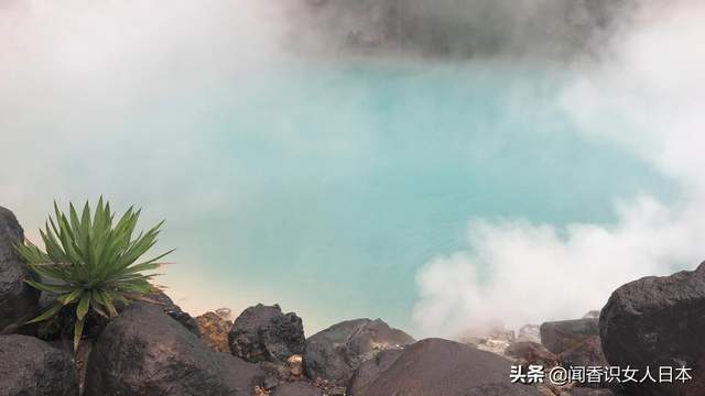 日本温泉数量和涌量第一的大分县别府温泉乡巡礼 只能看不能泡 地狱谷