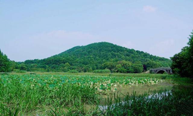 武汉的一座森林公园，山清水秀是避暑胜地，目前还免门票