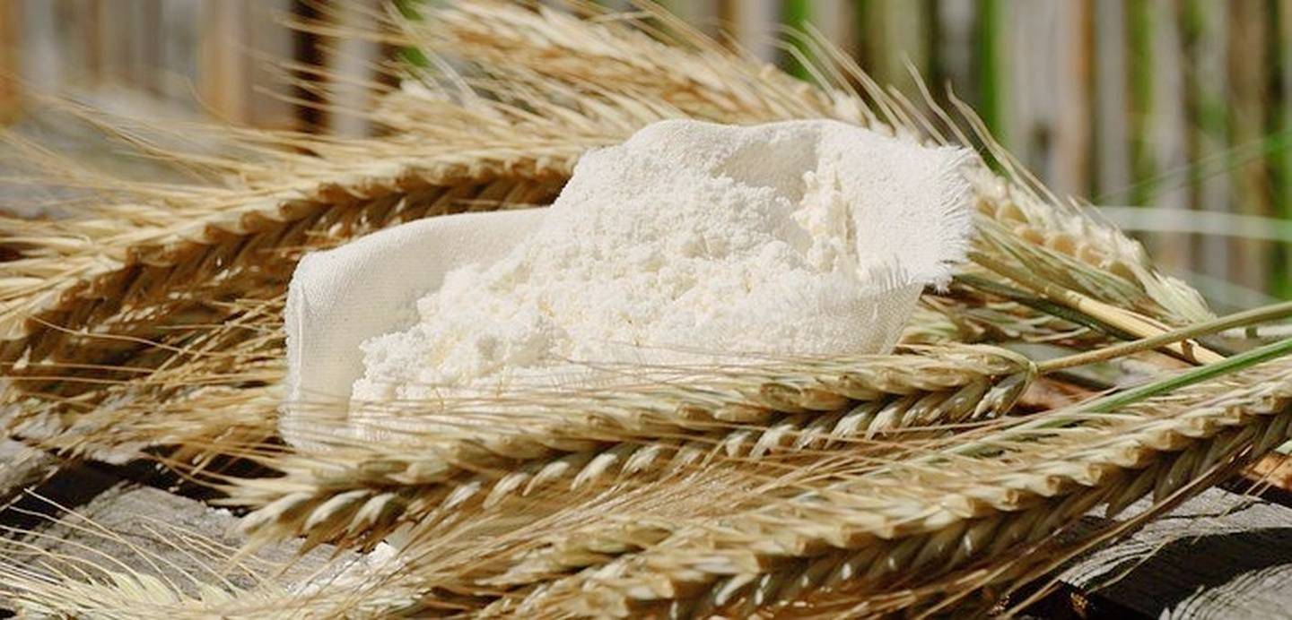 面粉属于什么 d30c75a94dca4a5583ffa96bb8fff2e1.jpeg