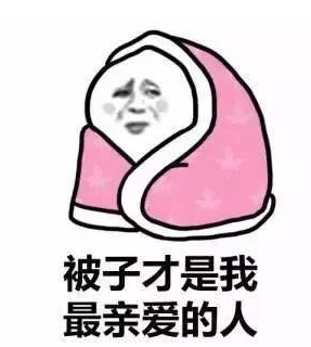 冬日假期快樂多,你是哪種生活家!