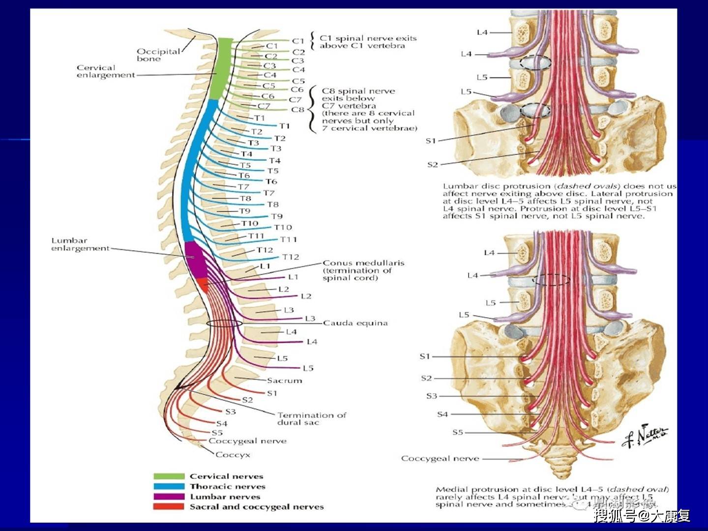 脊髓损伤3到6个月恢复正常 c95f8f7131a34a0585eeb5088aab66ed.jpeg