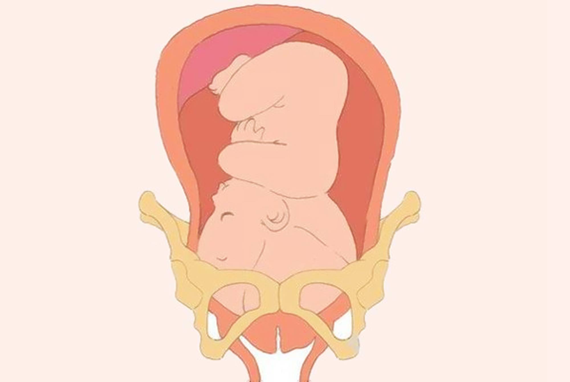 原创胎儿何时入盆入盆啥信号入盆啥时候卸货准妈妈必知一文讲清