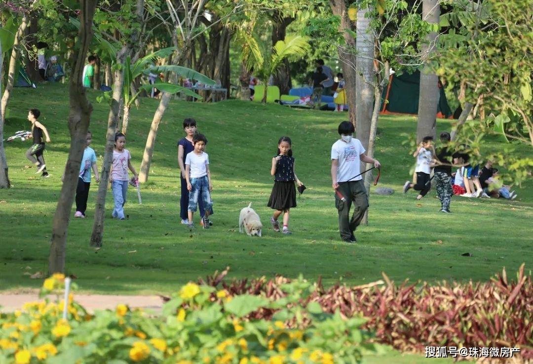 植物园、儿童公园今年开建！香山湖公园四期、海天公园二期也来了