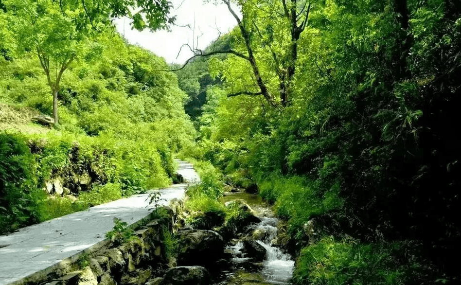 【创建天府旅游名县】人间四月天 醉美水磨沟——朝天旅游