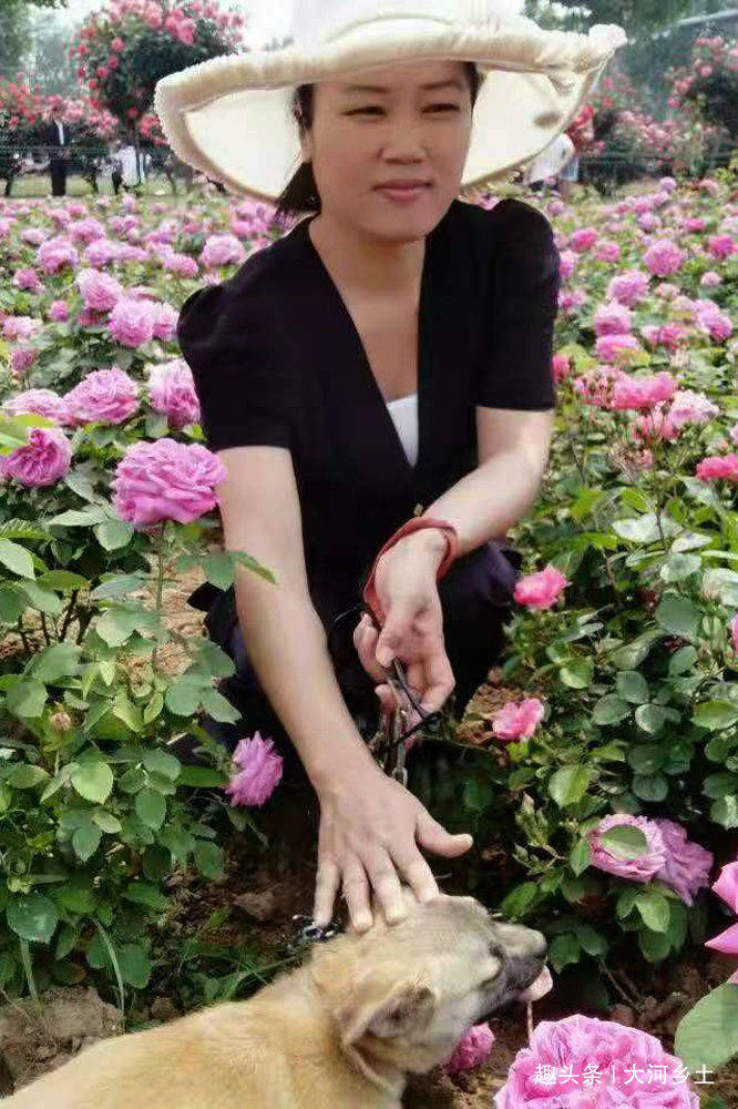 河南女子兩次離婚撞人獲刑負鉅債下樓踏空又摔傷自嘆命運多舛