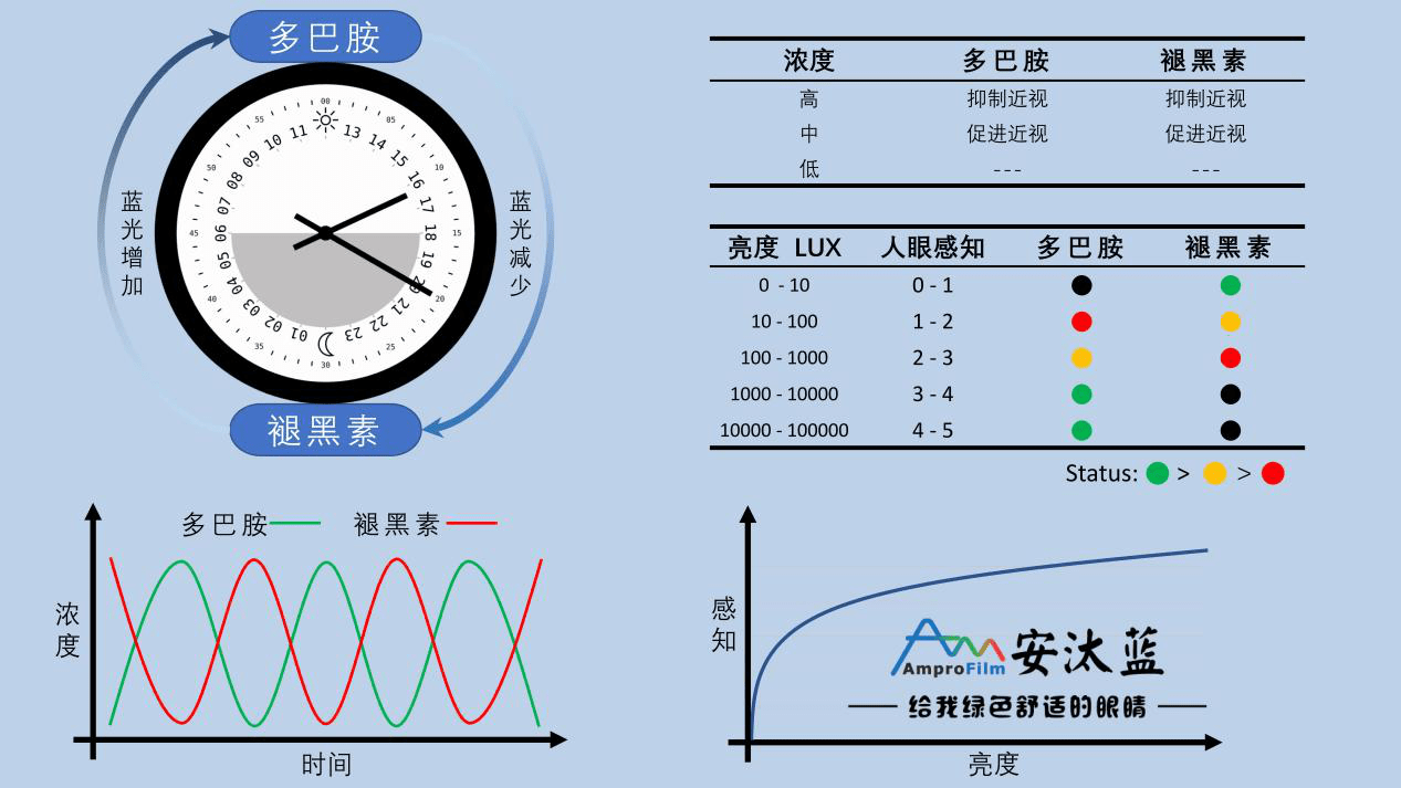 分泌,起到抑制近视的作用,而夜间人造光的蓝光抑制褪黑素却会造成睡眠
