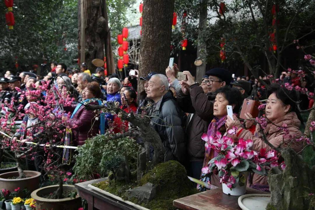 成都新春特别活动，庙会、灯会、赏花，是年味没错！