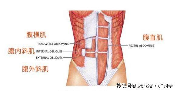 如何有效的练出侧腹 9b256dc05b444a109b46282f49019b3d.jpeg