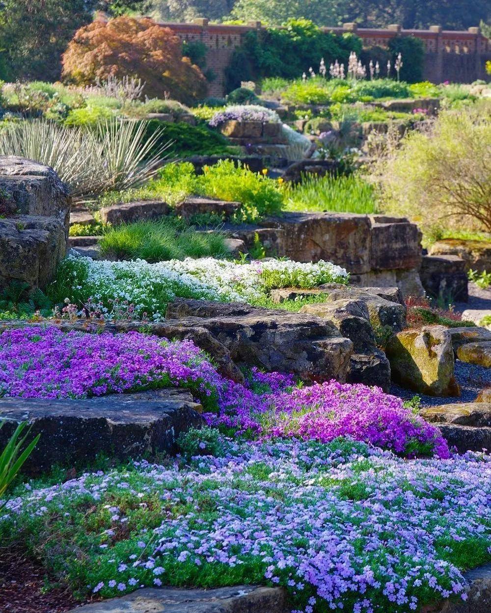 【京郊民宿】看了这个花园才知道：岩石花园居然这么美！