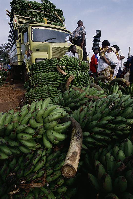 乌干达gdp_乌干达纳克鲁斯