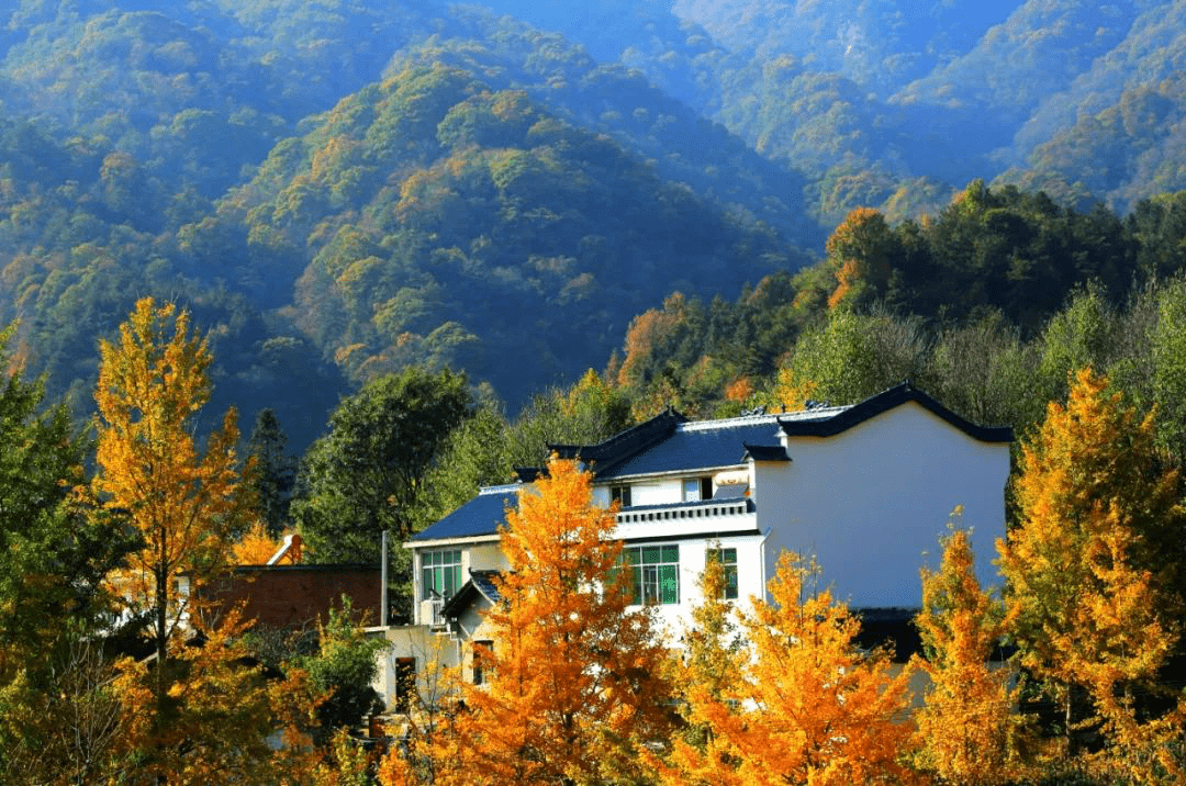 大驾旅行小朱自驾——安徽大别山赏秋自驾