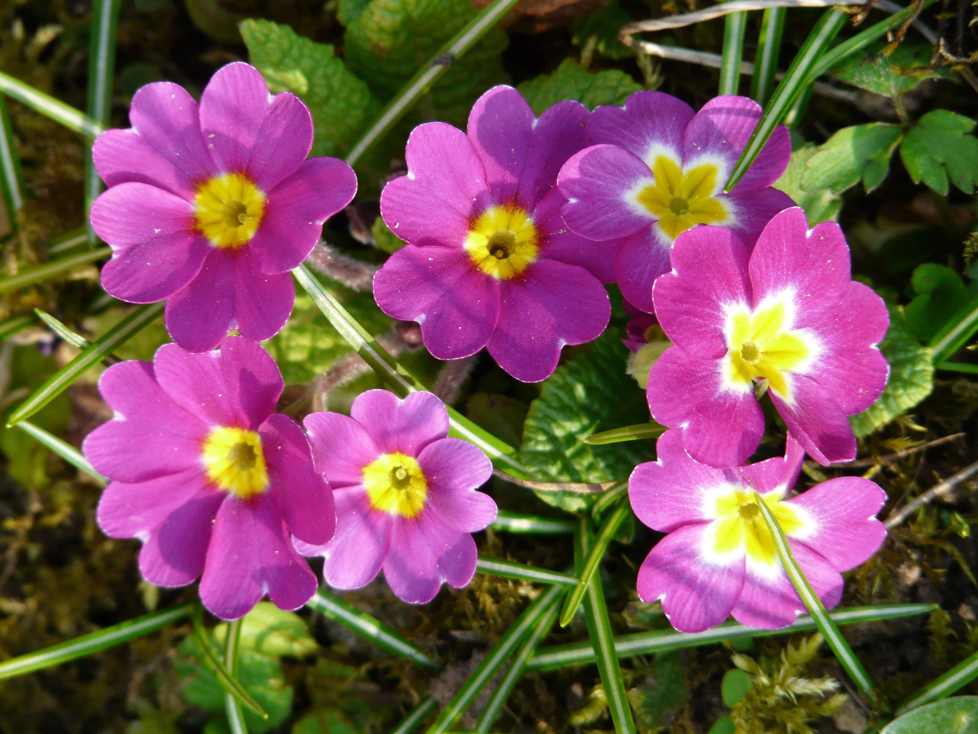 2月7日 13日星座运势 金牛座目光长远 双鱼座家庭和睦 伴侣