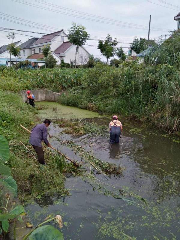 海安市西场街道石庄村追清逐绿共绘最美新农村