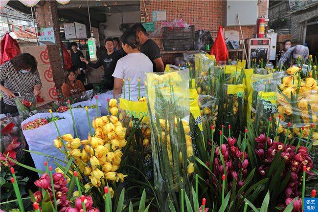 春节到 逛广州最大的岭南花卉市场 买盆年花就过年 花市