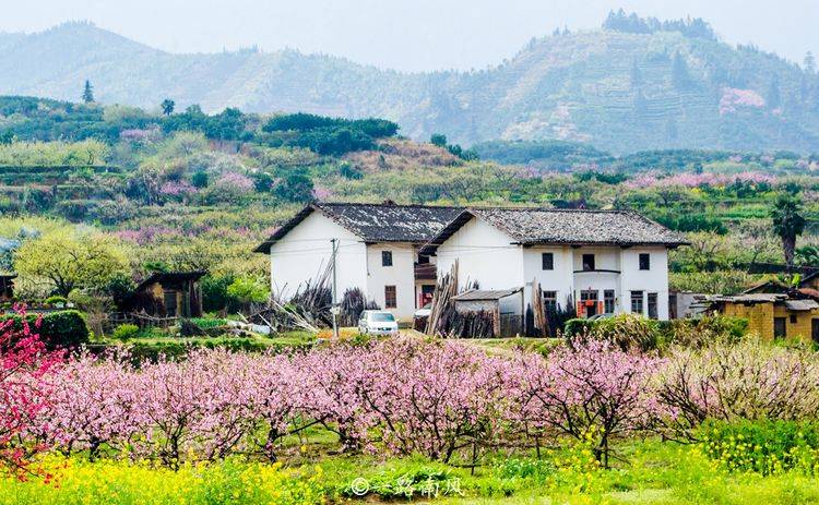 广东最美的山村，一到春天就变成“仙境”！