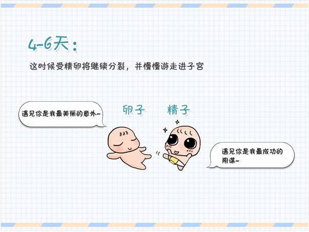 不论这种说法靠不靠谱,但备孕是一个顺其自然的过程.
