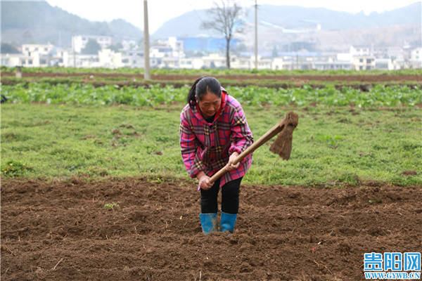 "小坝村村民蒋仕敏说.贵阳日报融媒体记者 许发顺 文/图