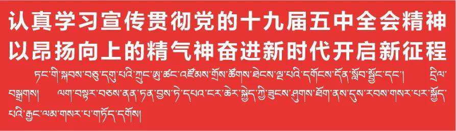 山水米林，花谷药洲 | 在米林四季中，遇见最美的自己！