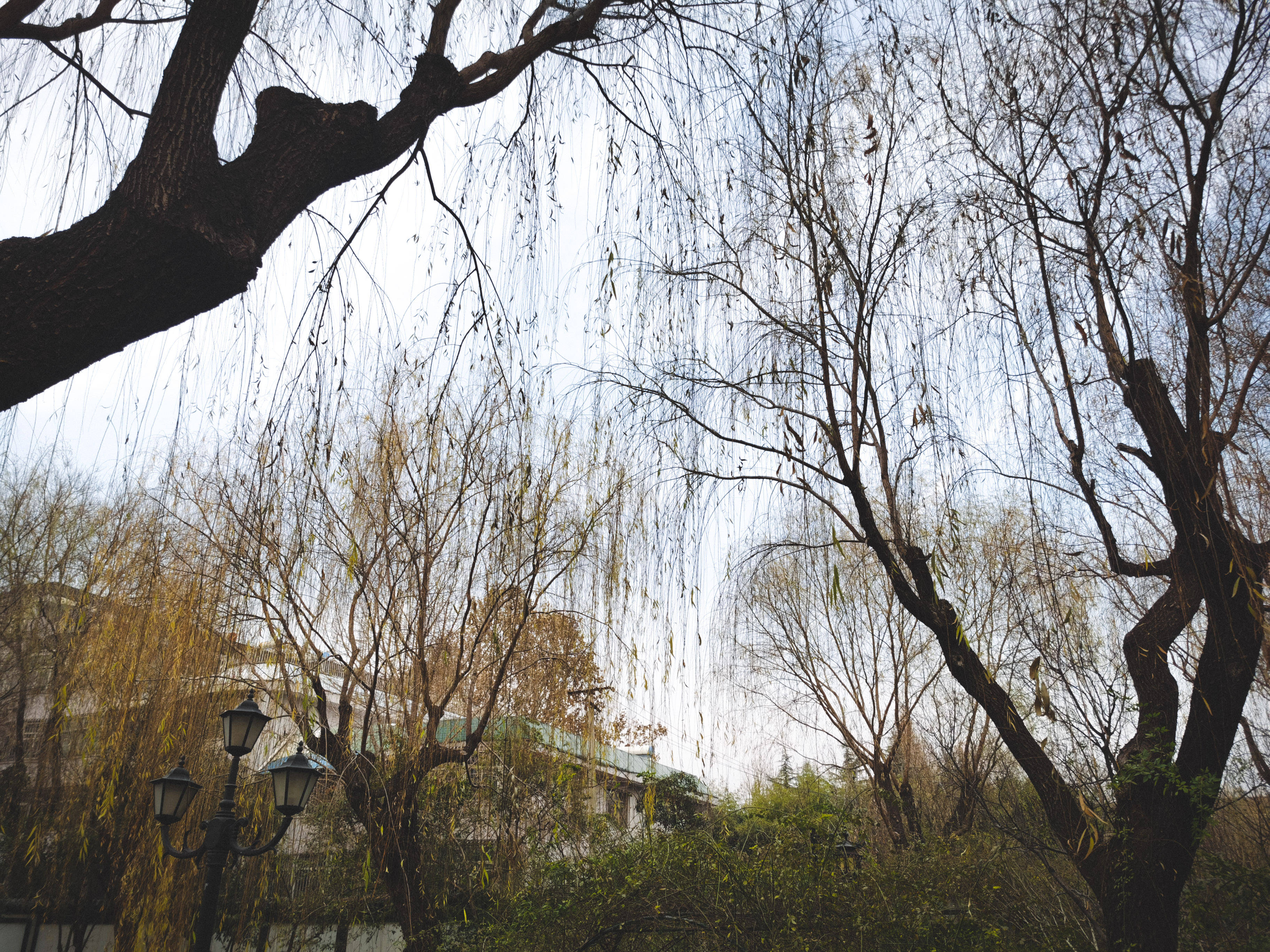 济南这个免费景区，位列四大泉群之一，还有唐朝大将秦琼的传说