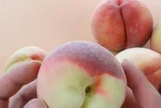 桃子怎么分辨是不是熟了 77b71142d280464ab419e0bc120d2d75.jpeg