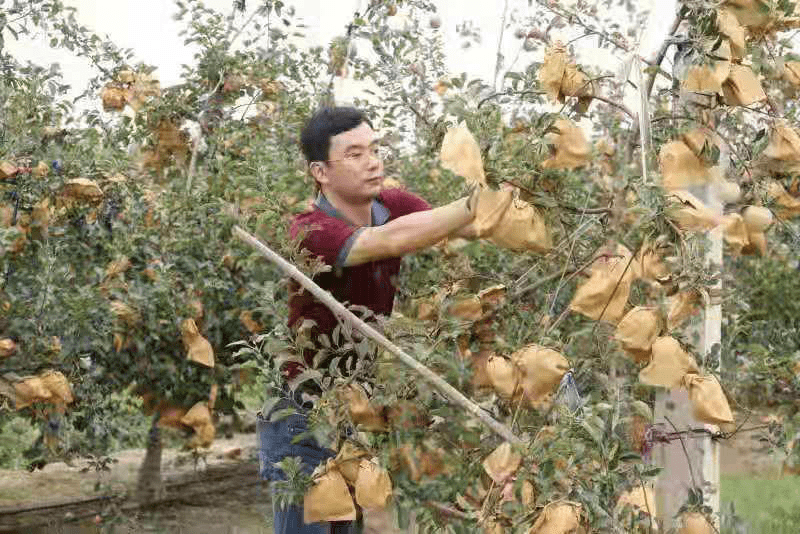 乳山乡村文化和旅游能”评选活动“百年引领 红色乳山”融媒体采风行圆满落幕