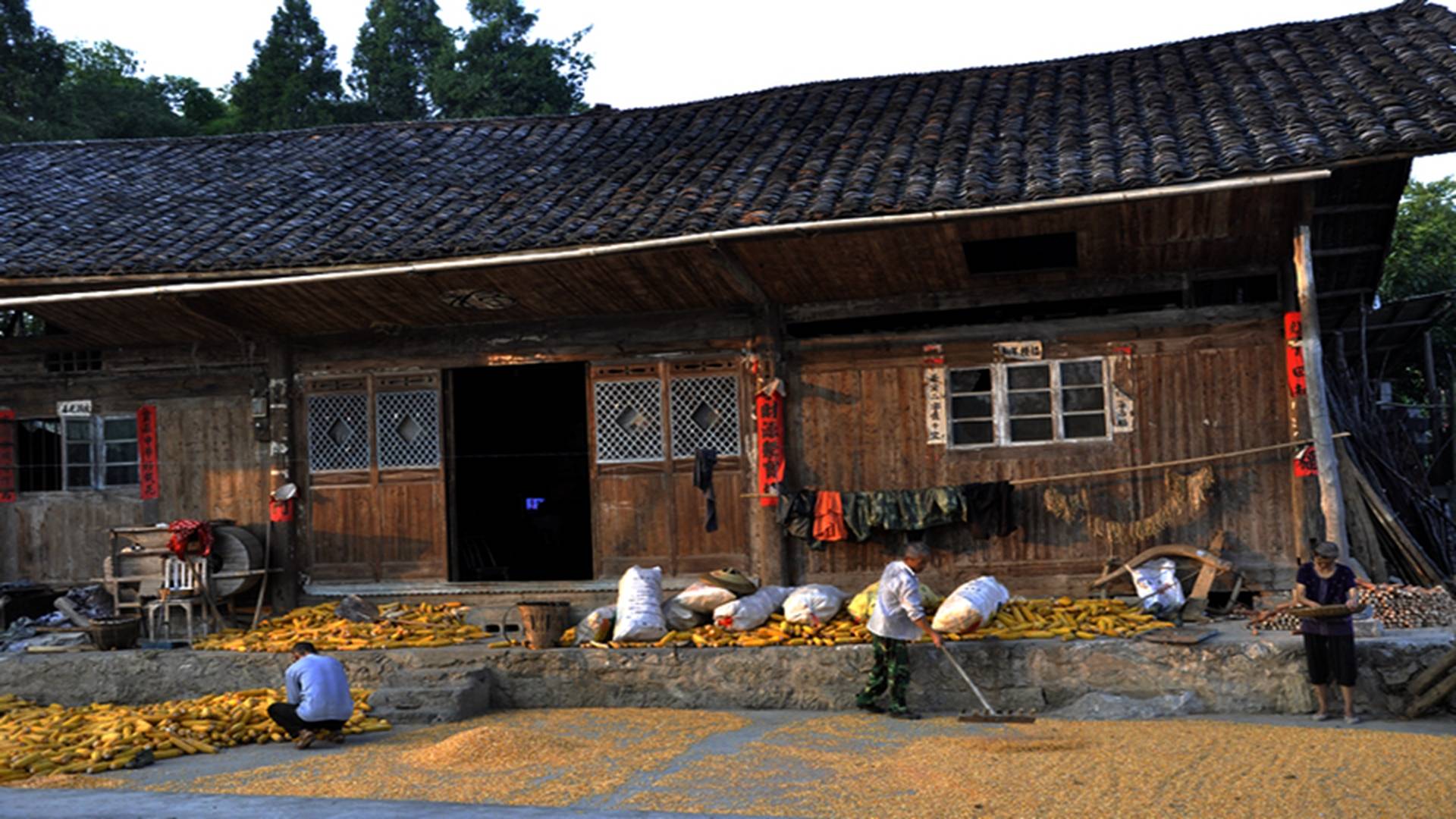 乡下人家图片大全风景图片