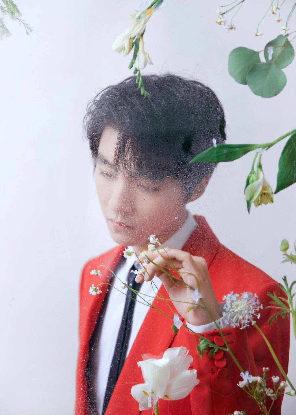 王俊凯春晚最新壁纸来了祝小螃蟹新年快乐牛年牛牛牛