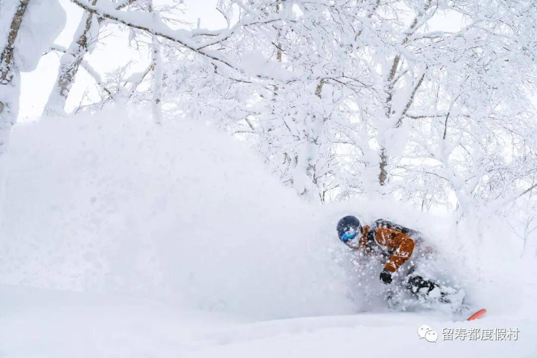 去北海道最大滑雪场留寿都滑雪，掌握这些信息是攻略成功的关键