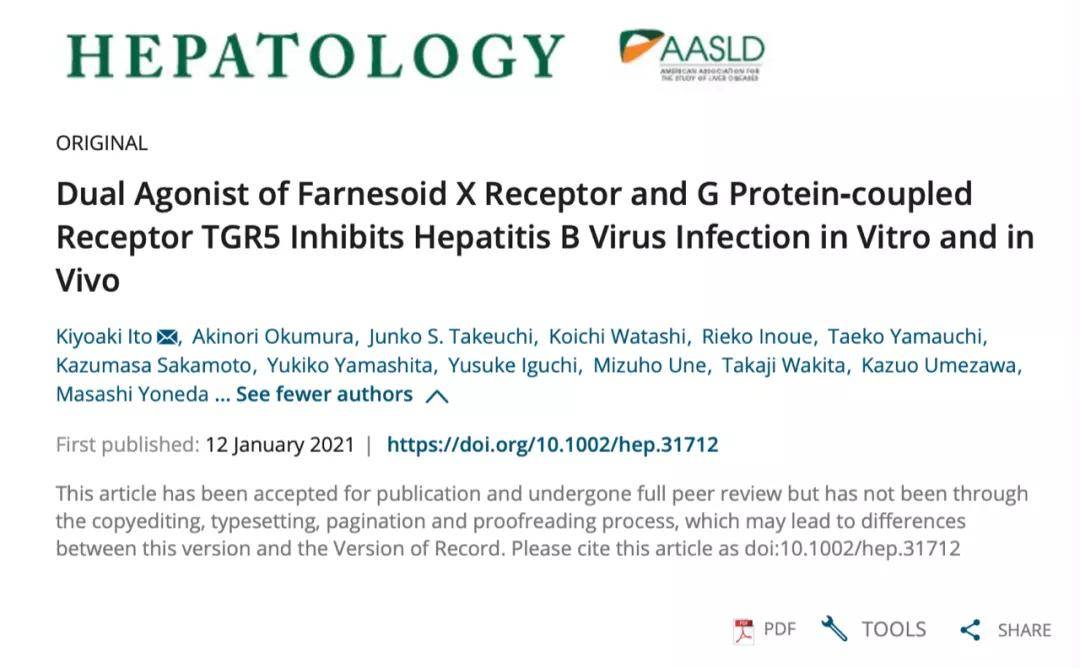 乙肝潜在药物int 767 动物模型 显著延迟表面抗原升高 衍生